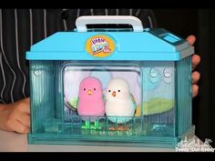 two little birds are in a small blue toy case with plastic handles and doors on the inside