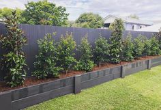 an outdoor garden area with various plants and trees in the center, along side a fence