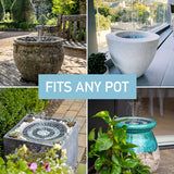 four different pictures with plants and pots in them