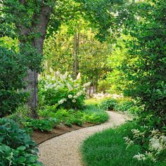 a garden path surrounded by lush green trees