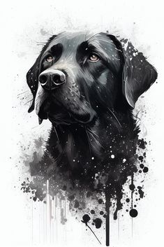 Black Lab Dog Portrait Canvas Art dogboxer Black Lab Dog, Labrador Retriever Art, Dog Watercolor Painting, Labrador Noir, Black Labs Dogs, Autumn Animals, Dog Portraits Art, Watercolor Dog Portrait, Lab Dog