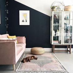 a dog laying on the floor in front of a pink couch and black accent wall