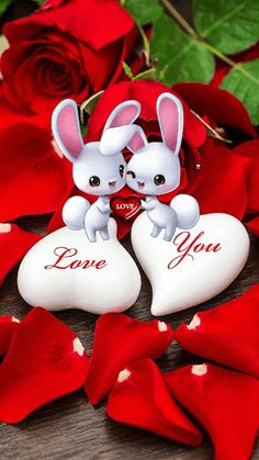 two white rabbits sitting next to each other on top of red roses