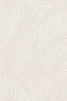 a white wallpaper with palm leaves on the bottom and bottom part of it's surface