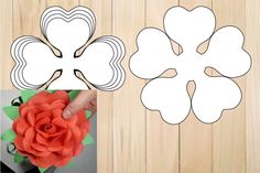 the paper flowers are cut out and ready to be used as decorations or wall hangings