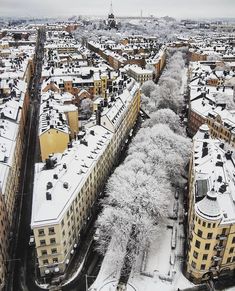 an aerial view of buildings and trees covered in snow