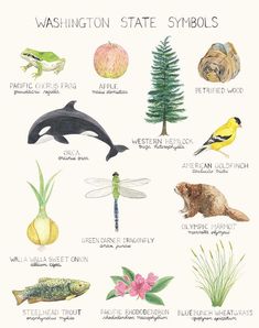 a poster with different types of animals and plants