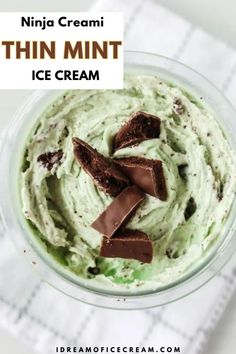 a glass bowl filled with mint ice cream and chocolate pieces on the side, text overlay reads mini mint thin mint ice cream