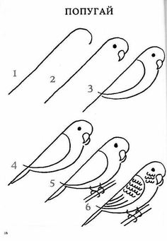 the instructions for how to draw birds in russian