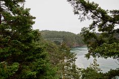 a bridge is seen through the trees on a cloudy day in this photo taken from behind some evergreens