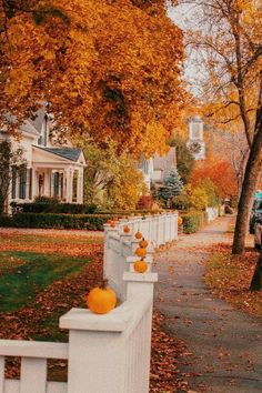 a white fence with pumpkins on it in front of a house and trees filled with leaves