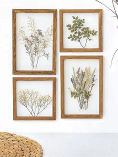 four framed pressed flowers are hanging on the wall next to a wicker basket and vase