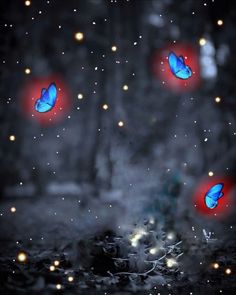 three blue butterflies flying in the sky with red lights around them and some black spots