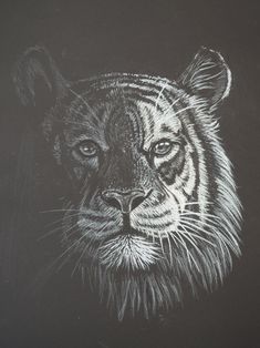 a drawing of a tiger's face on a black paper with white lines in the background