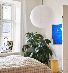 a bedroom with a bed, potted plant and window