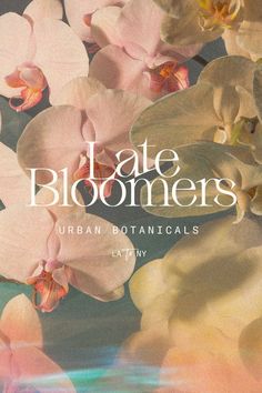 the cover of late bloomers urban botanicals