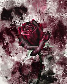 a painting of a red rose on a black and white background