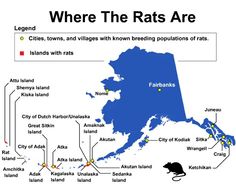 a map showing where the rats are