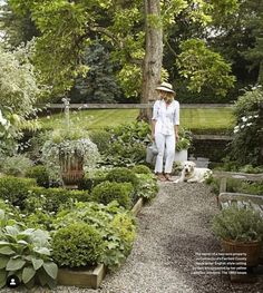 a woman standing in the middle of a garden filled with lots of trees and plants