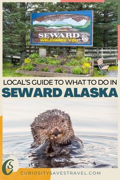 the sign for sewardl's guide to what to do in sewardl alaska