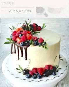 a cake with berries, raspberries and chocolate drizzled on top