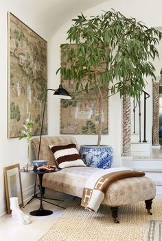 a living room filled with furniture and a tree