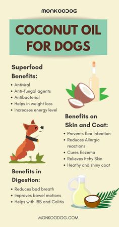 the benefits of coconut oil for dogs