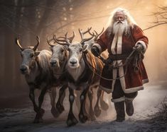 santa claus is leading his reindeers through the woods