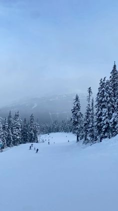 people are skiing down a snowy hill in the mountains with snow covered trees on both sides