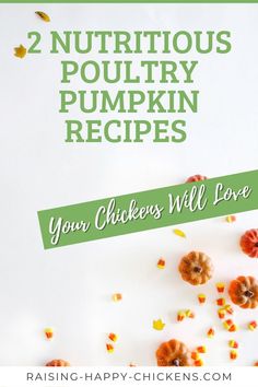 the words 2 nutritious poultry pumpkin recipes on a white background