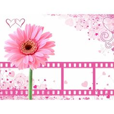 a pink flower is in front of a film strip with hearts and flowers on it