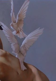 two white birds flying over a man's chest