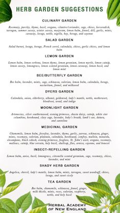 the menu for herb garden suggestions