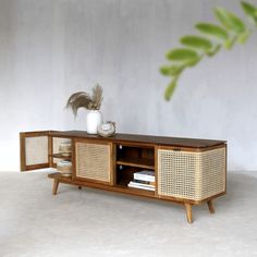 a wooden entertainment center with wicker doors and drawers on the front, next to a potted plant