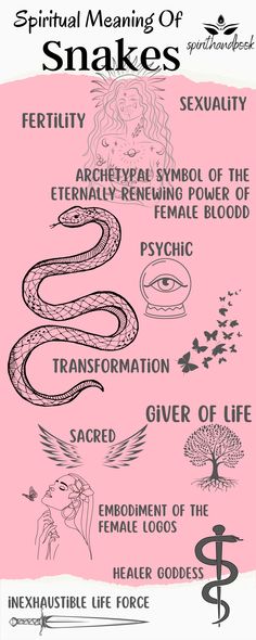 Snake Skin Spiritual Meaning, Tattoo With Spiritual Meaning, Snake Transformation Tattoo, Animal Tattoos And Meanings, What Do Snakes Symbolize, Snakes Spiritual Meaning, Medusa Meaning Tattoos, Tattoo Ideas Rebirth, Snake And Moon Tattoo Meaning