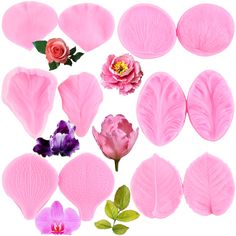 various pink flowers and leaves on a white background