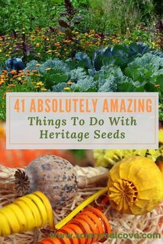 41 Absolutely Amazing Things To Do With Heritage Seeds #seedsaving #gardening #seeds #science #ecogardening Seed Swap, Culinary Garden, Composting Ideas, Helping Nature, Spring Science