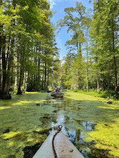 Visit the cypress gardens where the iconic notebook scene was filmed. #charleston sc, #monkscorner, #explore, what to do in charleston, must see, #couple friendly #dateideas idea, date idea charleston, #lowcountry, where to visit, family friendly in charleston, monks corner SC, explore south carolina, the carolinas, outside of downtown charleston, fun, green, aesthetic, #nature, meadow, #kayak, boatride, two people, the notebook, #mustsee Charleston South Carolina The Notebook, Charleston South Carolina Photography, Cyprus Gardens South Carolina, Lowcountry South Carolina, White Point Gardens Charleston, Charlotte South Carolina, Carolinas Aesthetic, The Battery Charleston Sc, South Carolina Nature