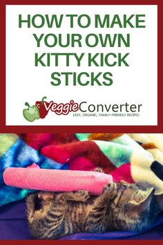 a kitten laying on top of a pile of blankets with the words how to make your own kitty kick sticks