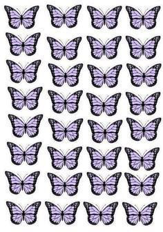 purple butterflies are arranged in rows on a white background, with black outlines to the left and right