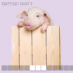 a pig sticking its head over the top of a wooden fence with words spelling level 1