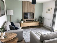 a living room filled with furniture and a flat screen tv on top of a wooden stand