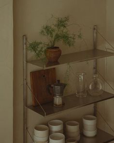 a shelf with cups and vases on it next to a potted bamboo plant