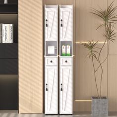 a tall white cabinet sitting next to a plant in a living room filled with furniture