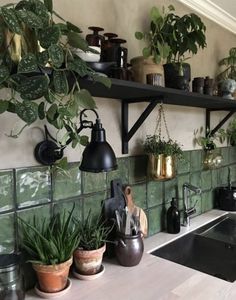 a kitchen with green tiles and potted plants on the shelf above the sink,