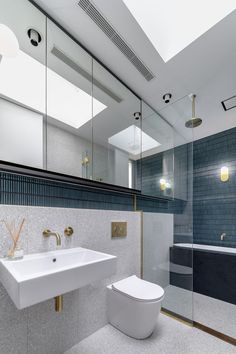 a white toilet sitting next to a bathroom sink under a skylight in a bathroom