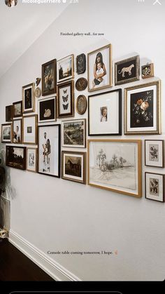 a wall full of framed pictures on the side of a white wall with black and gold trim