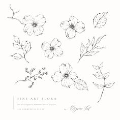 some flowers are drawn in black and white on a white background with the words fine art flora