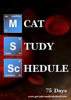 the words cat study schedule are displayed in front of an image of apples and oranges