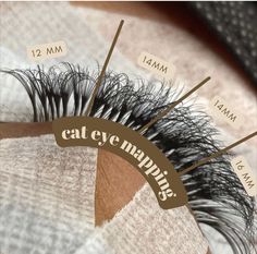 Lash Map Cat Eye, Map Eyelash Extensions, Cat Eye Lash Map, Eyelash Studio, Best Lash Extensions, Lash Extentions, Lashes Tutorial